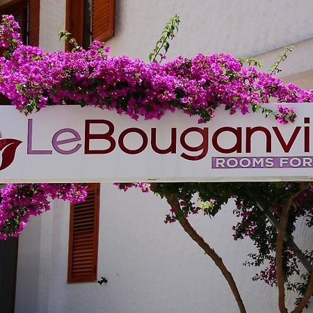 Le Bouganville Vieste Exteriér fotografie
